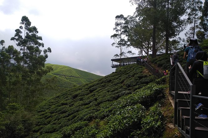 Amazing Cameron Highland Day Tour From Kuala Lumpur - Kea Farm Market: Where Local Food Shopping Feels Real