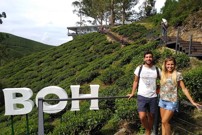 Amazing Cameron Highland Day Tour From Kuala Lumpur - Cameron Lavender: The European-Style Flower Field Stop