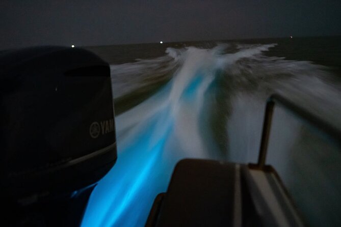 Amazing Fireflies With Blue Tears Watching & Kuala Selangor Tour - Price and what $55.92 really buys