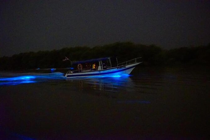 Amazing Fireflies With Blue Tears Watching & Kuala Selangor Tour - Stop 2: Bukit Melawati viewpoint and the Strait of Malacca horizon