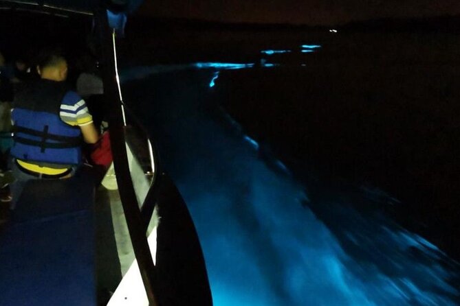Amazing Fireflies With Blue Tears Watching & Kuala Selangor Tour - Stop 3: Kampung Kuantan Firefly Park boat ride through mangroves