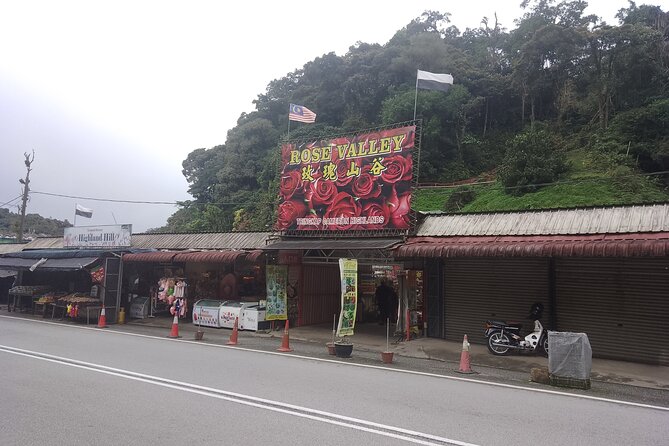 Cameron Highlands Day Trip - Lunch, Coffee, and How to Budget Realistically