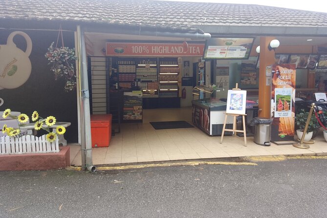 Cameron Highlands Day Trip - What I’d Check Before Booking