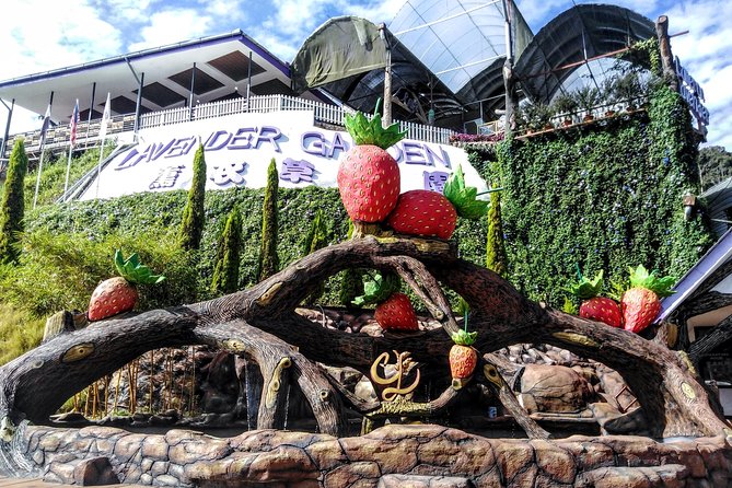 Cameron Highlands Day Trip From Kuala Lumpur - Stop 1: Lata Iskandar and the value of a slow start