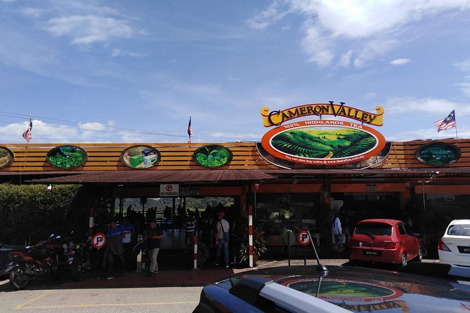 Cameron Highlands Day Trip From Kuala Lumpur - Big Red Strawberry Farm: hydroponic strawberries and a fun farm stop