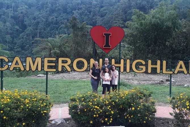 Cameron Highlands Day Trip From Kuala Lumpur - Sungai Palas and Boh Tea country: a calmer tea plantation hour