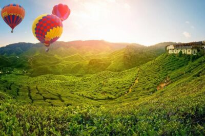 Day Trip to Cameron Highlands: Nature Escape from Kuala Lumpur - The early start that shapes the whole day