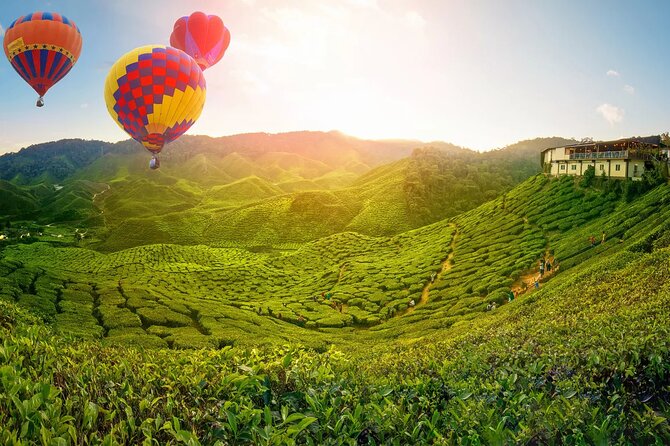 Day Trip to Cameron Highlands: Nature Escape from Kuala Lumpur - The early start that shapes the whole day