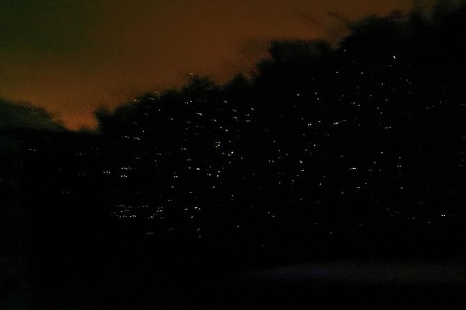 Fireflies & Silver leaf monkey Gazing tour - Kampung Belimbing fireflies: the boat ride is the whole payoff