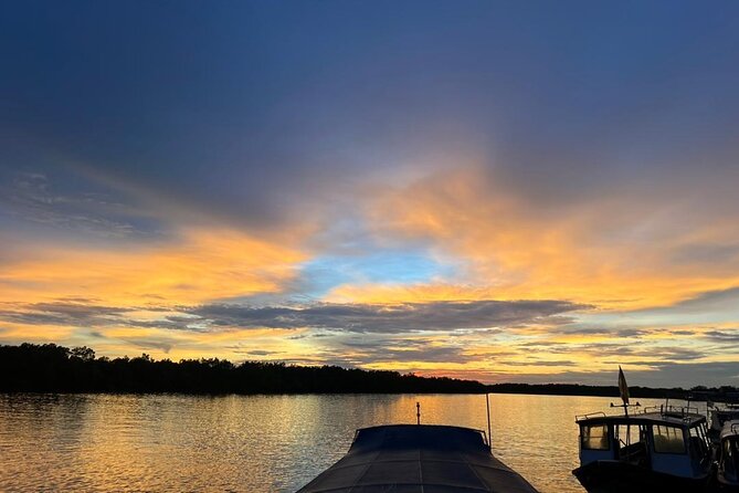 Fireflies & Silver leaf monkey Gazing tour - Price and value: what $57.27 really covers (and what it doesn’t)