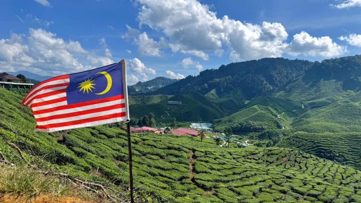 From Kuala Lumpur: Cameron Highlands Day Tour with Lunch - What $95 buys you: value check that’s actually useful
