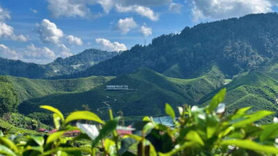 From Kuala Lumpur: Cameron Highlands Day Tour with Lunch - Pickup and meeting point: where your day actually starts