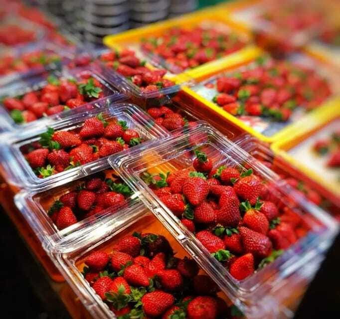 From Kuala Lumpur: Cameron Highlands Day Trip with Transfers - Key points I’d mark before you go