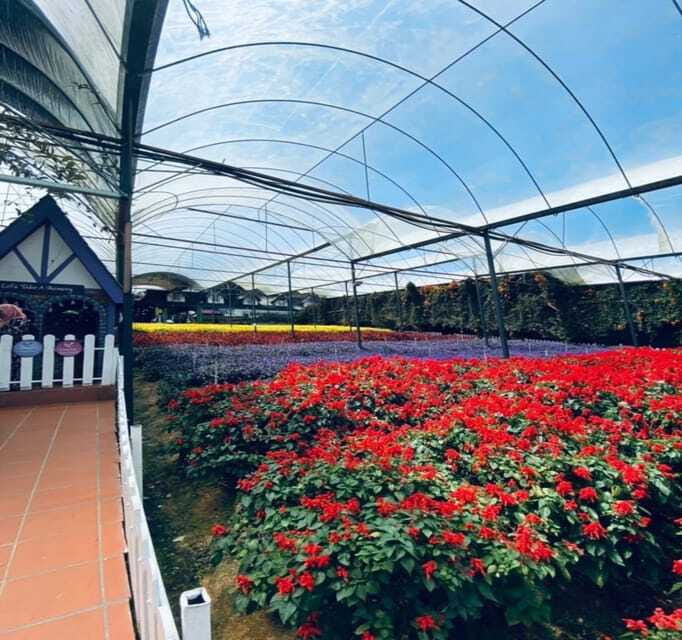 From Kuala Lumpur: Cameron Highlands Day Trip with Transfers - Cactus garden and the last souvenir stop