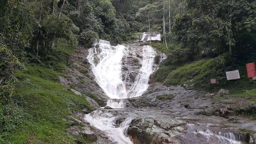 From Kuala Lumpur: Cameron Highlands Full-Day Tour - Rose Valley: fragrant gardens and the option to choose roses