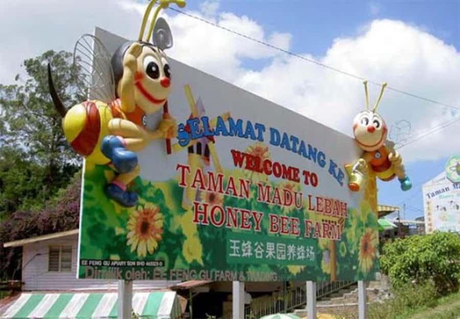 From Kuala Lumpur: Cameron Highlands Private or Join In Tour - Money matters: base price plus tickets you’ll likely pay