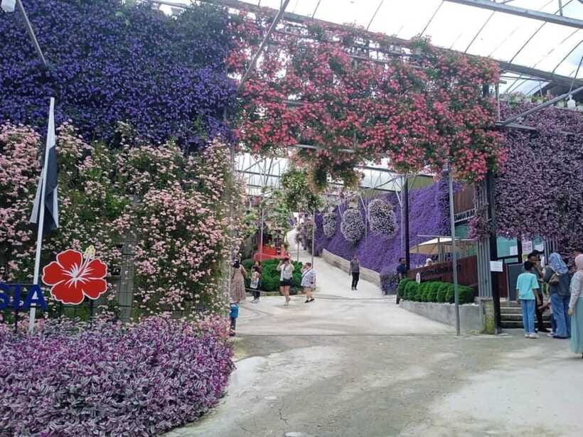From Kuala Lumpur: Cameron Highlands Private or Join In Tour - Should you book? My practical call