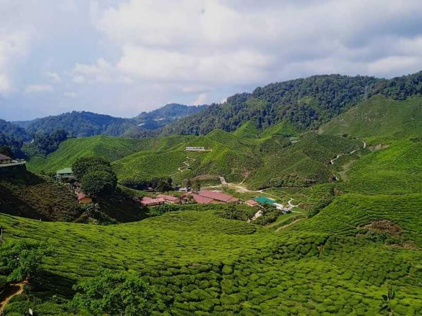 From Kuala Lumpur: Cameron Highlands Private or Join In Tour - FAQ