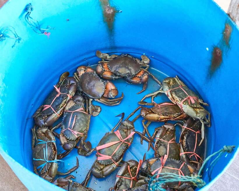 From Kuala Lumpur: Crab Island Tour with Seafood Lunch - Return route photo stops: Selangor King Palace, Blue Mosque, and Thean Hou Temple
