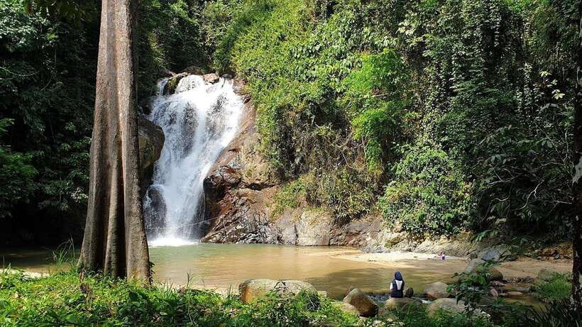 From Kuala Lumpur: Elephant Sanctuary Guided Tour - Key Things That Make This Day Trip Worth Your Time