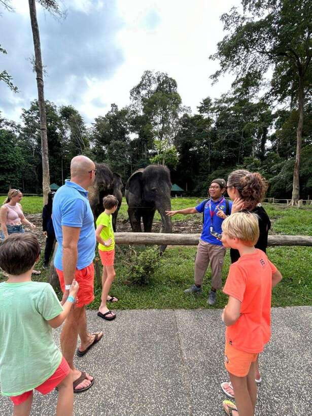 From Kuala Lumpur: Elephant Sanctuary Guided Tour - Kuala Gandah Elephant Sanctuary: Feeding, Rescue Stories, and Clear Rules