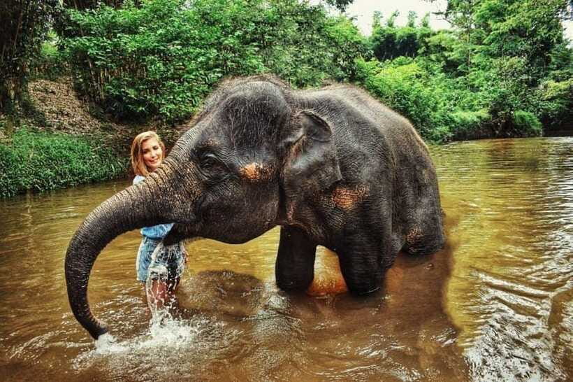 From Kuala Lumpur: Elephant Sanctuary Guided Tour - Price and Value: Is $150 Worth It for Elephants Plus Waterfalls?
