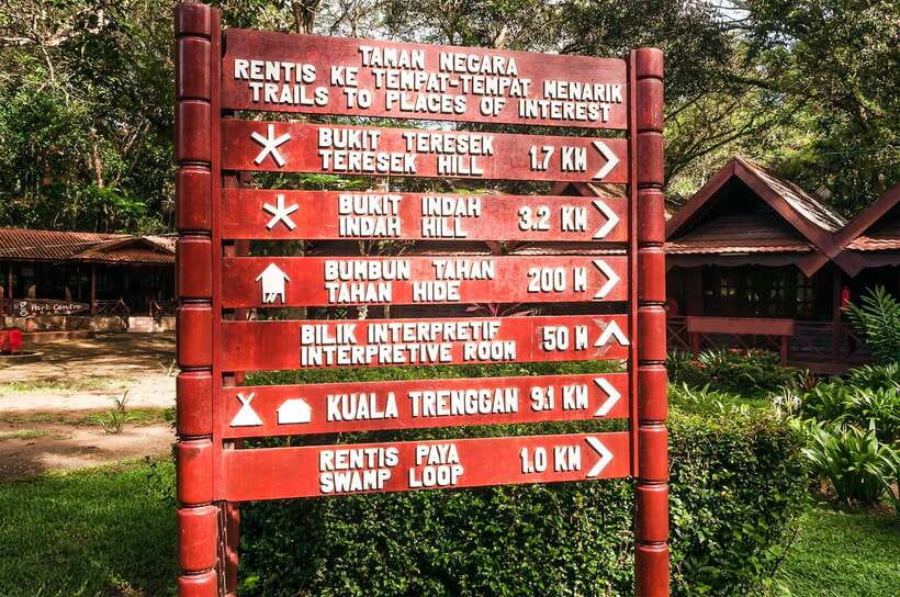 From Kuala Lumpur: Full-Day Taman Negara National Park - Key Things You’ll Actually Notice on This Day Trip