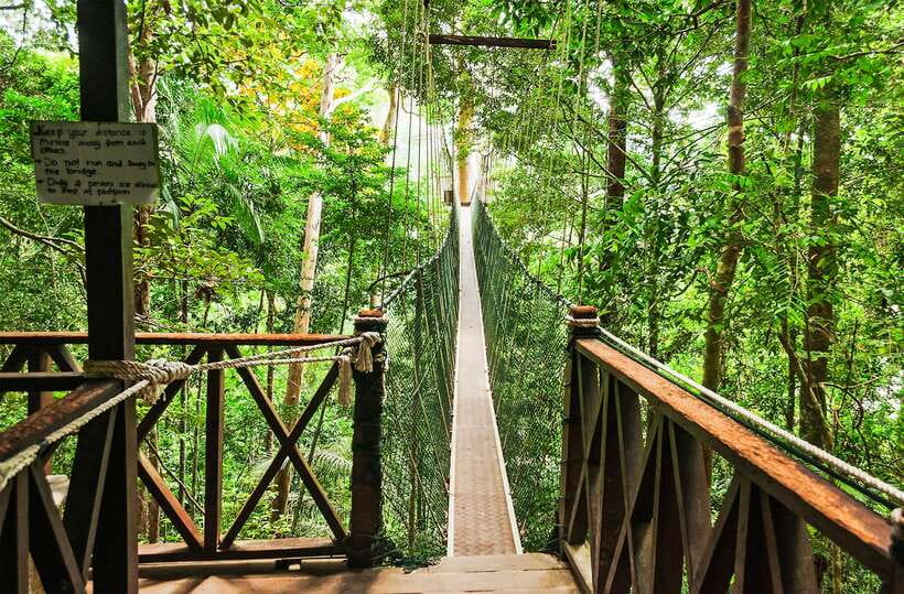 From Kuala Lumpur: Full-Day Taman Negara National Park - Kuala Lumpur to Taman Negara: The Road Trip Part Matters