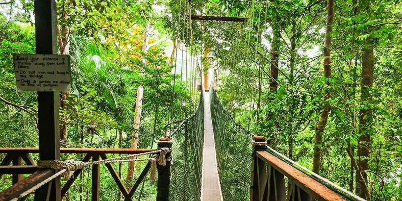 From Kuala Lumpur: Full-Day Taman Negara National Park - Rapid Shooting and Hunting Techniques: Fun, Hands-On, and a Bit Wild