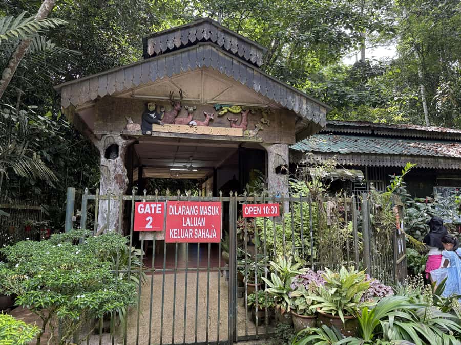 From Kuala Lumpur: Kuala Gandah Elephant Sanctuary Day Trip - Feeding and Bathing Options: The Fees, the Wet Stuff, and What’s Not Guaranteed