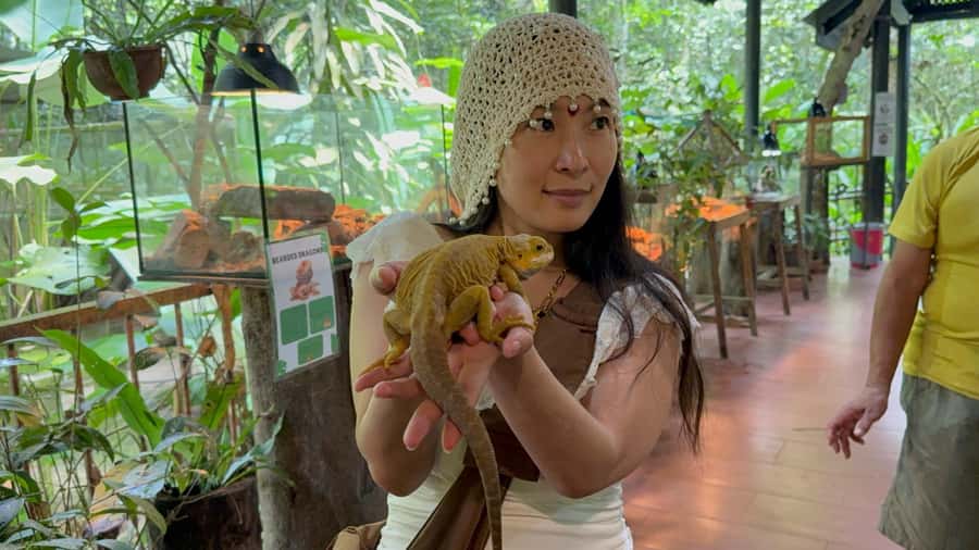 From Kuala Lumpur: Kuala Gandah Elephant Sanctuary Day Trip - What to Bring (and What to Skip)