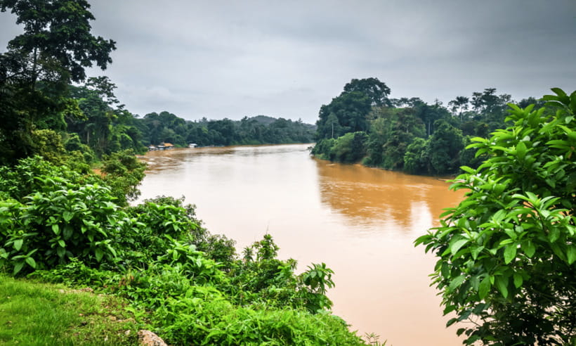 From Kuala Lumpur: Taman Negara National Park Private Tour - Lata Berkoh Waterfall hike and jungle swimming