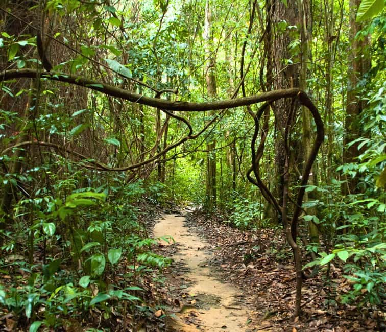 From Kuala Lumpur: Taman Negara National Park Private Tour - Taman Negara From Kuala Lumpur: plan for the long day