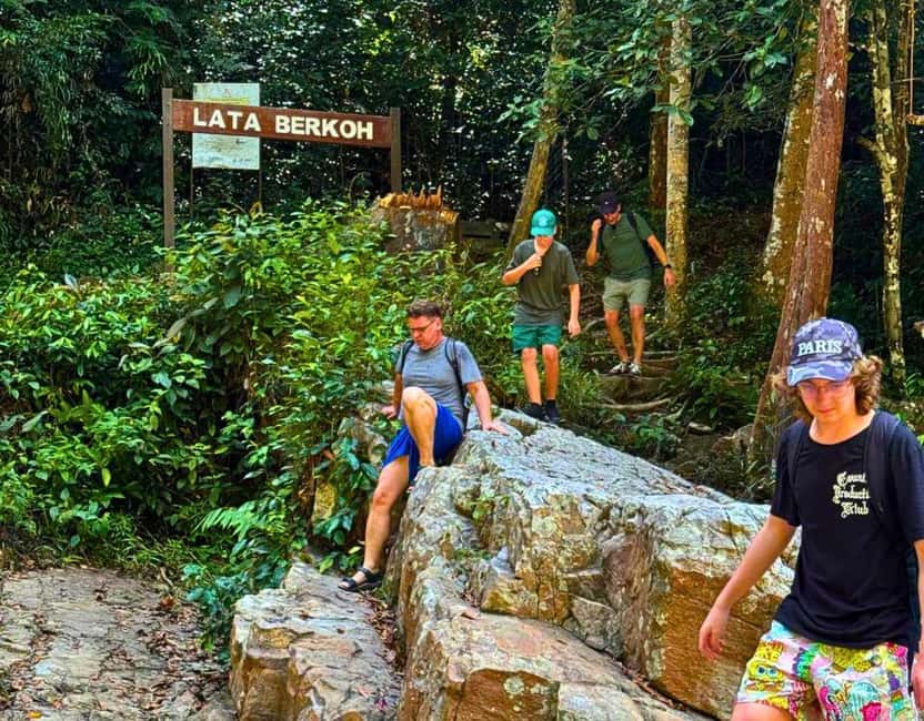 From Kuala Lumpur: Taman Negara National Park Private Tour - Jungle hiking under tall trees: what to look for
