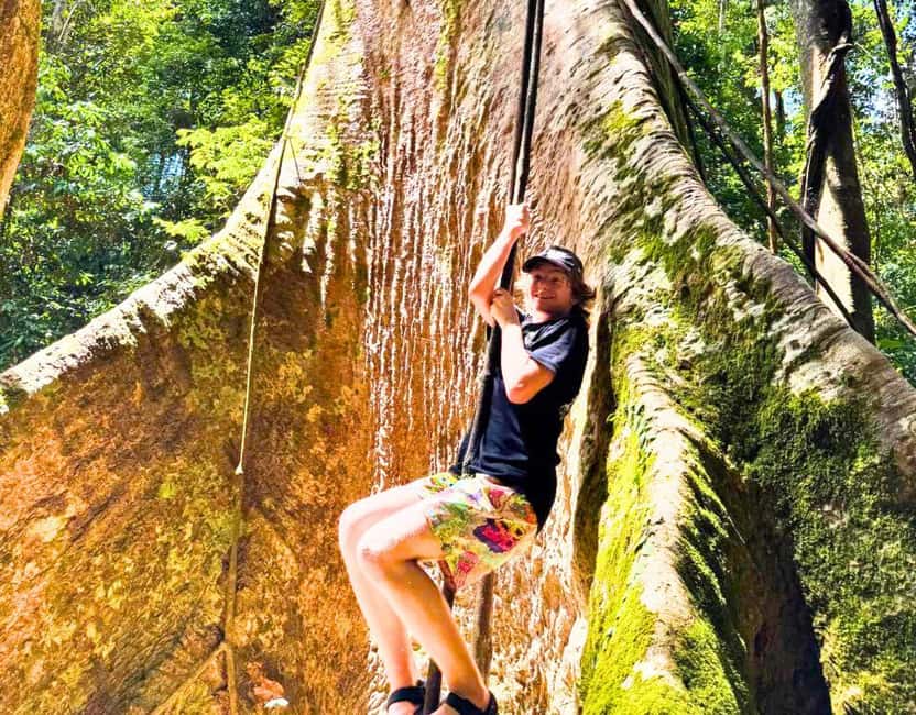 From Kuala Lumpur: Taman Negara National Park Private Tour - Kuala Tahan arrival: river vibes before you hit the trails