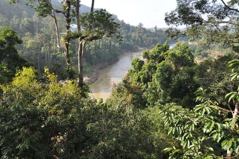 From Kuala Lumpur: Taman Negara National Park Trek Day Tour - Key highlights at a glance