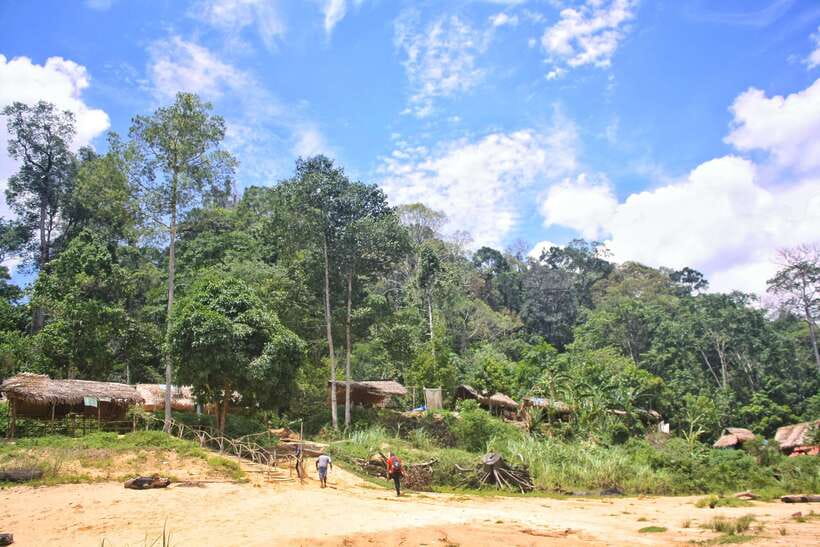 From Kuala Lumpur: Taman Negara National Park Trek Day Tour - What to Pack (You’ll Thank Yourself Later)