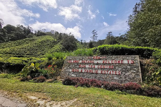Full-day Cameron Highlands Day Trip from Kuala Lumpur - Sam Poh Temple: hillside views over Brinchang