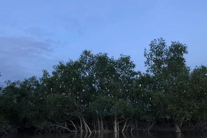 Glowing Kuala Selangor Firefly Tour - Dinner and the Fishing Village Stop: Mostly Seafood, Sometimes Limited