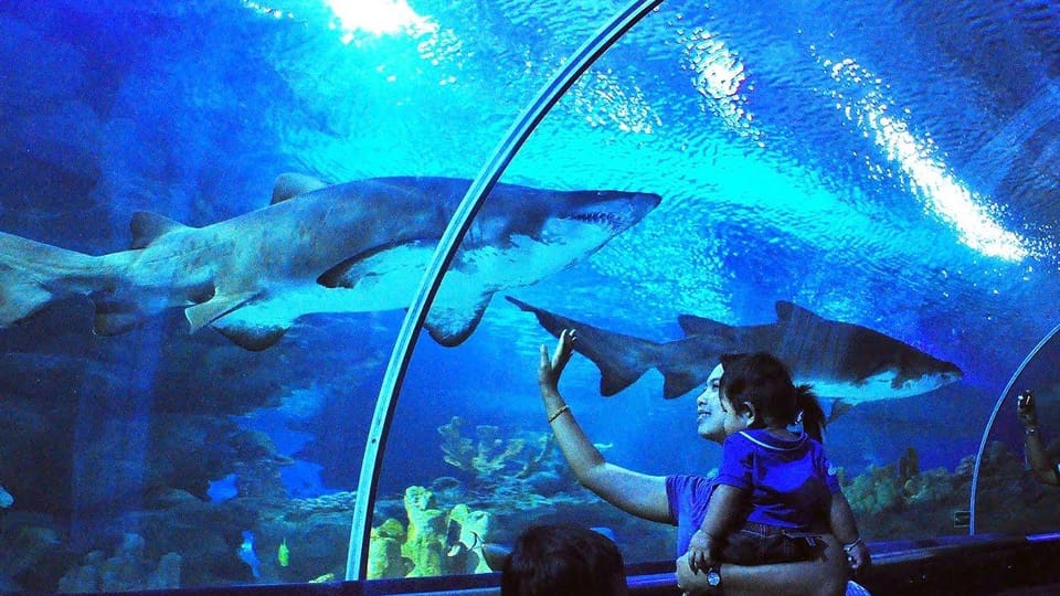 Kuala Lumpur: Aquaria KLCC Entry Ticket - Key highlights that make Aquaria KLCC worth your time
