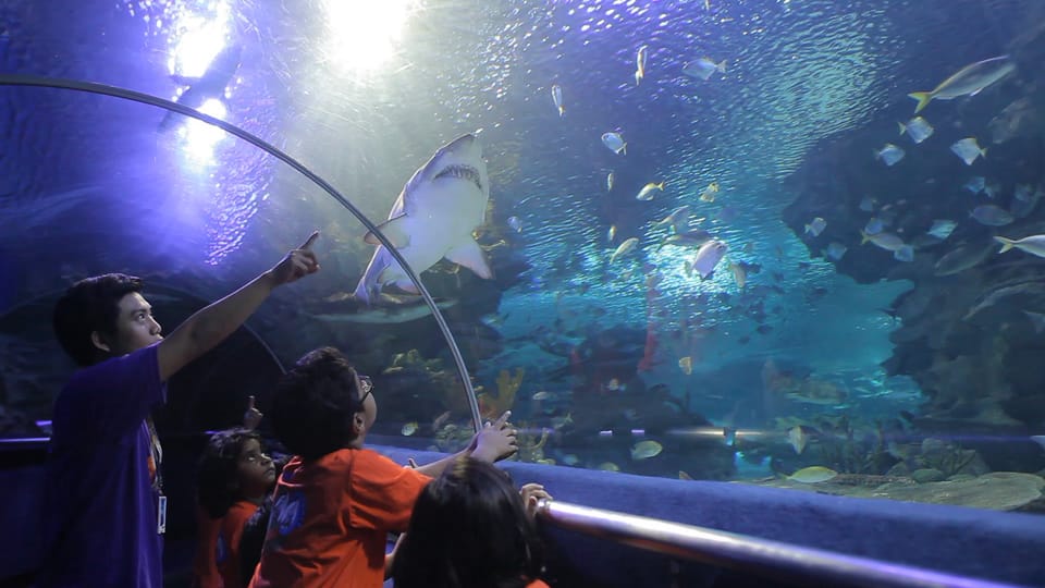 Kuala Lumpur: Aquaria KLCC Entry Ticket - Who should book Aquaria KLCC tickets?