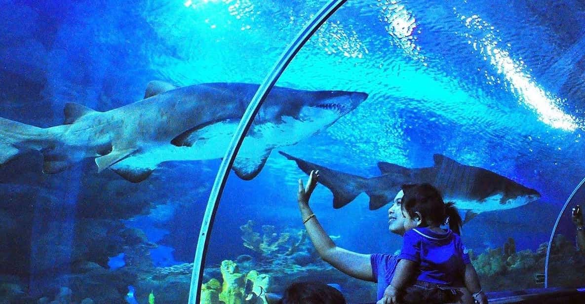 Kuala Lumpur: Aquaria KLCC Entry Ticket - Price and value: what $14 gets you (and what to watch)