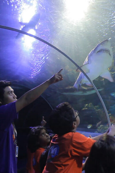Kuala Lumpur: Aquaria KLCC Entry Ticket - Tickets, timing, and the smartest day to go