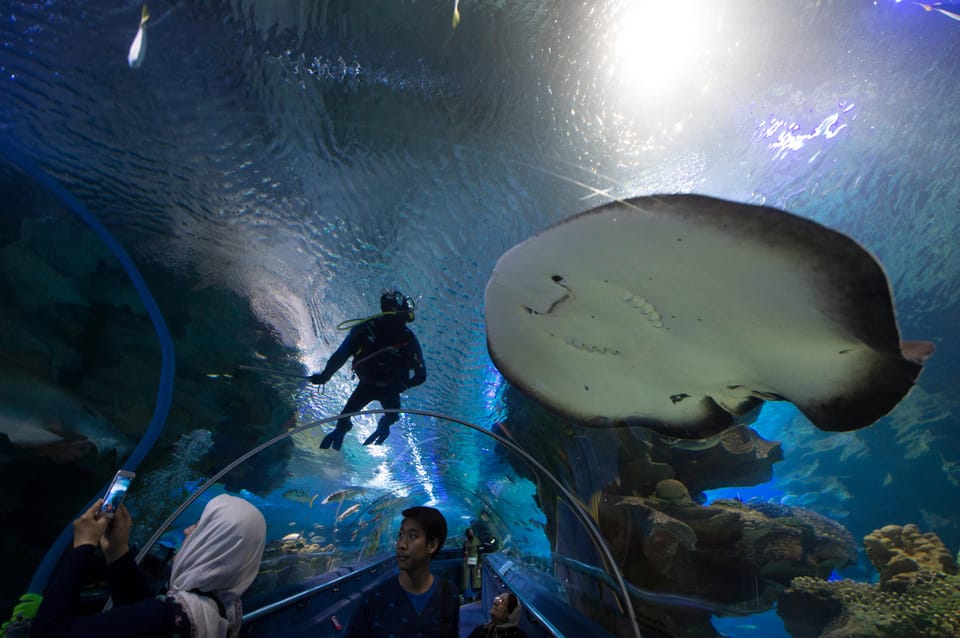 Kuala Lumpur: Aquaria KLCC Entry Ticket - Walking the 90m underwater tunnel: the main event