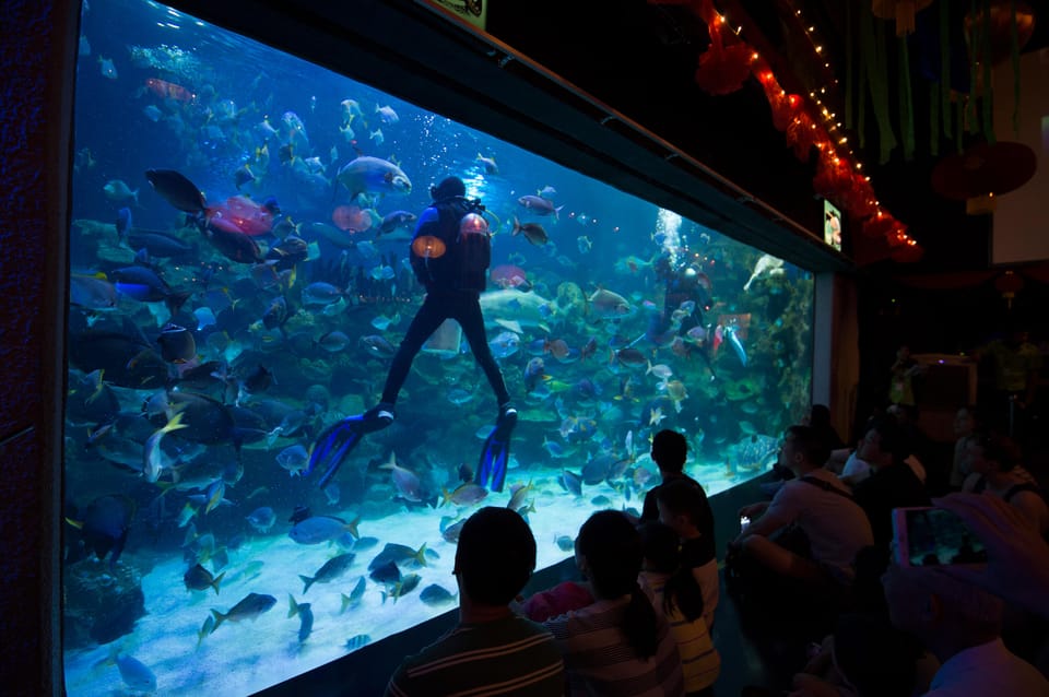 Kuala Lumpur: Aquaria KLCC Entry Ticket - How long you need and how to pace it