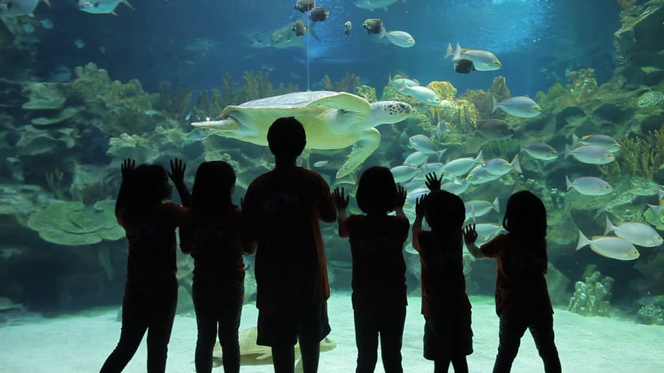 Kuala Lumpur: Aquaria KLCC Entry Ticket - Pair it with the KLCC area: a simple day plan