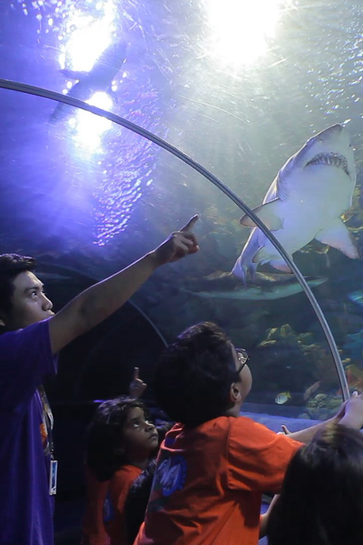 Kuala Lumpur: Aquaria KLCC Entry Ticket - Tickets, timing, and the smartest day to go