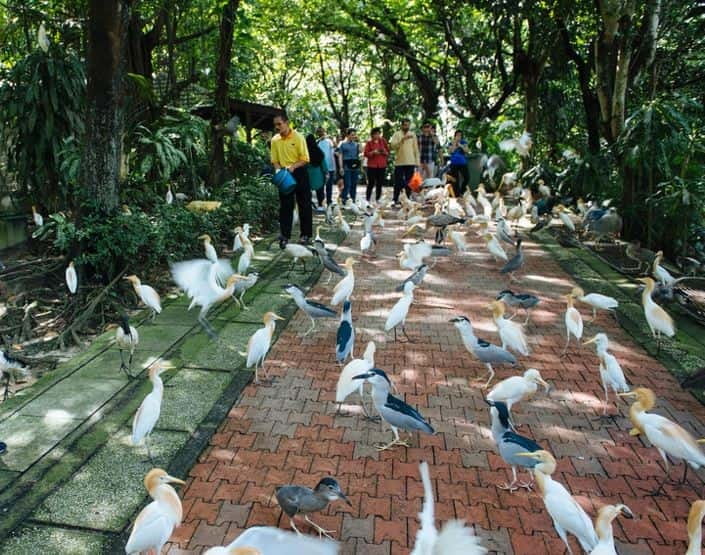 Kuala Lumpur: Bird Park, Butterfly & Garden Private Tour - Key points I’d plan around