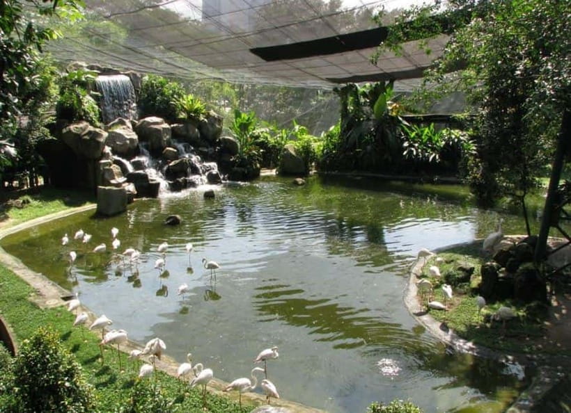 Kuala Lumpur: Bird Park, Butterfly & Garden Private Tour - Getting Oriented: A 4-Hour Nature Plan Near the City Center