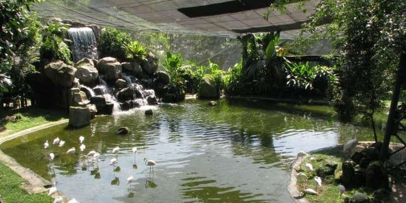Kuala Lumpur: Bird Park, Butterfly & Garden Private Tour - Who This Tour Suits Best (and Who Might Want to Skip It)